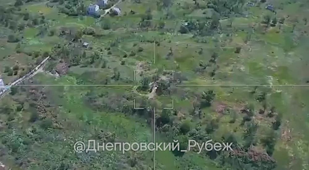 3 ���� �� ���������� �����������, ��������������� ����������� ����� "�����" ���������� ��� ����������