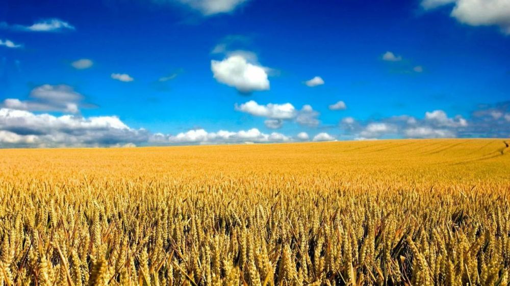 ���������� �������. ����