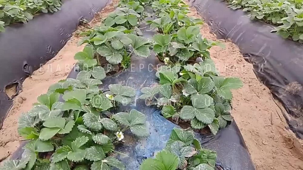 �� ����������� ���������� ������� ���� ������ ��������� ��������