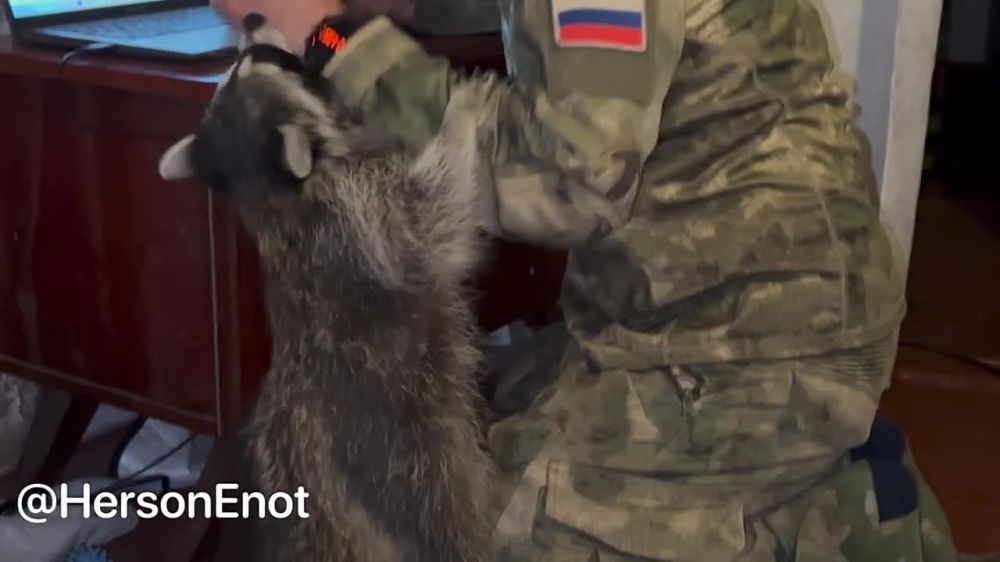 ���� �� �������: � ����� ����� ����� � ��� � ����� �������� ���� ������ � �������� ����� ���� ������������