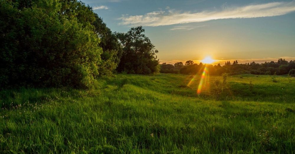 ������� ������ � ���������� ������� �� 5 ����