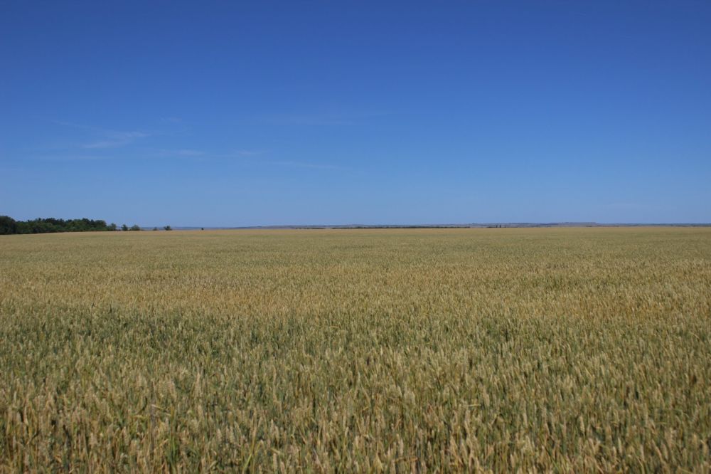 ���������������� �� ���������� ���������� � ���� �� ��������� ��������