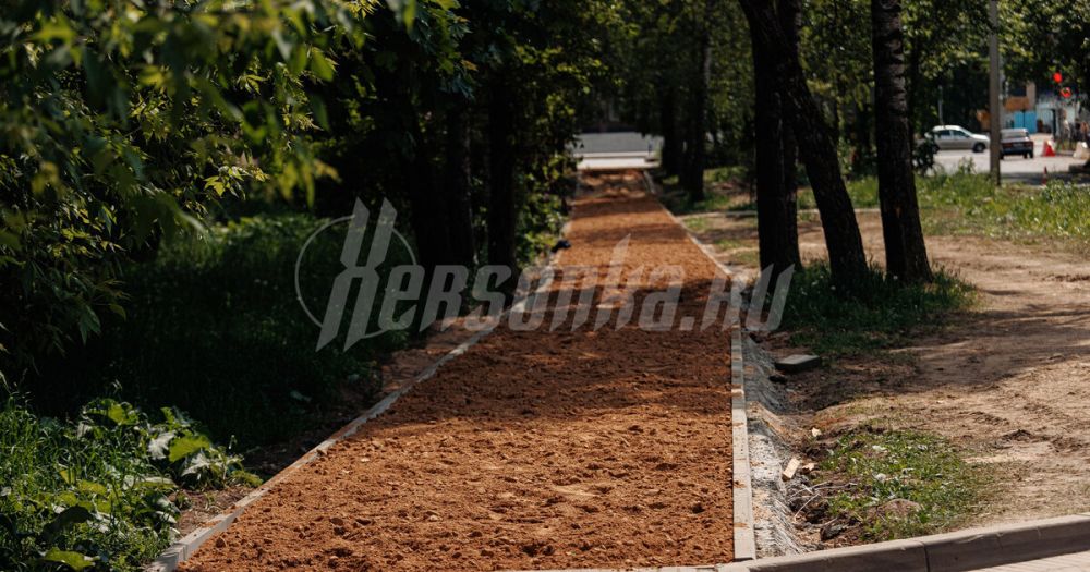 � ��������� ������������ ���� ������ ���������