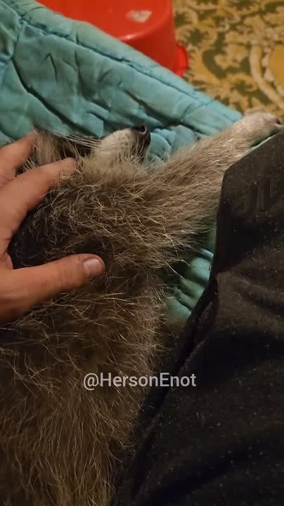 ���� �� �������: ������� "��������� ���� ������"