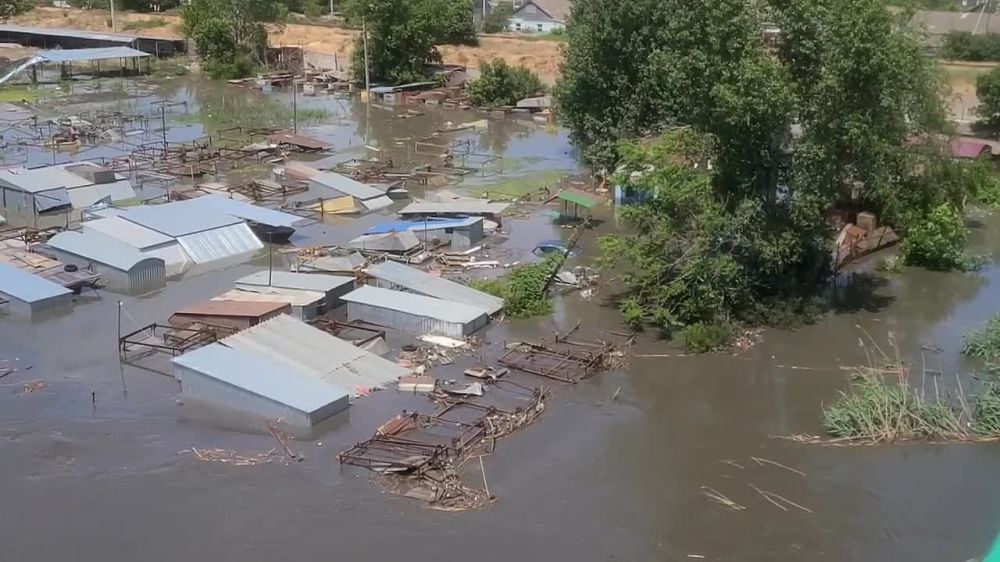 ����� �����: 1. ������ ����� ������� ����� � ��������