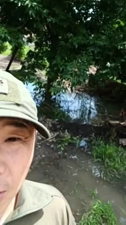 Владлен Татарский: "Народный Дневной Владлен"