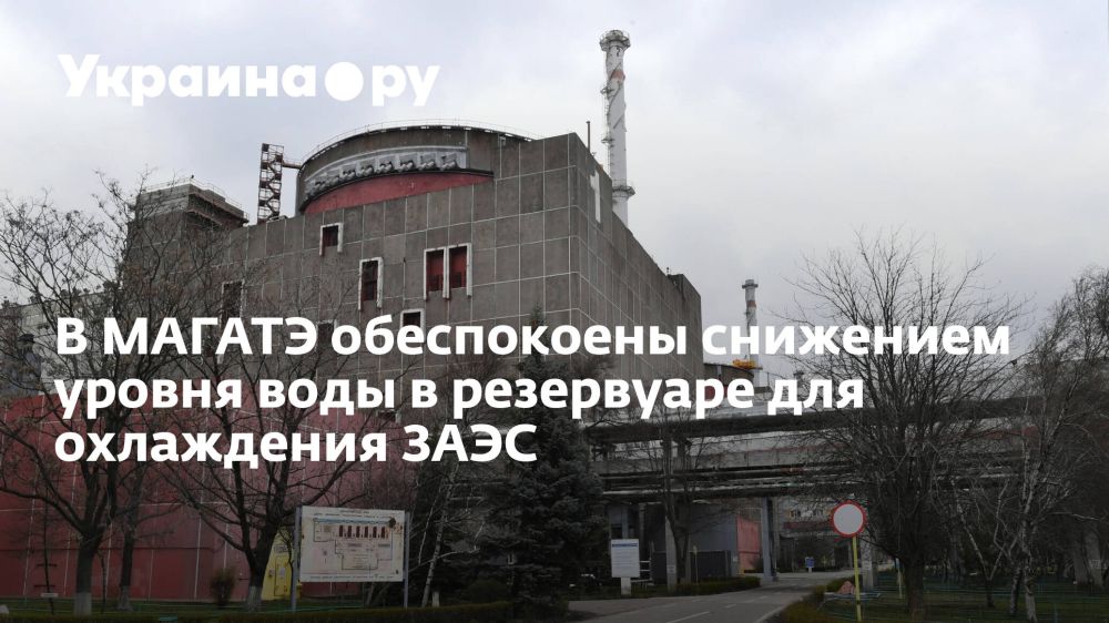 � ������ ����������� ��������� ������ ���� � ���������� ��� ���������� ����
