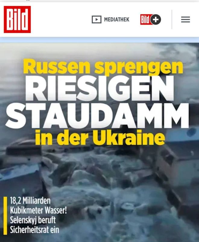 ��������� ���: ������� �������� �������. ��� ���� ��������, ������ ���������