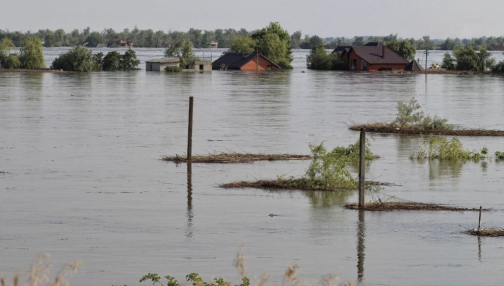 ����� �����: ����� ������������ ����� � �������