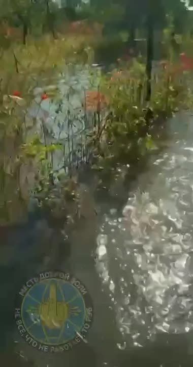 ����� �� �� ����������������� ����� ������� ��� �� ��������� ���