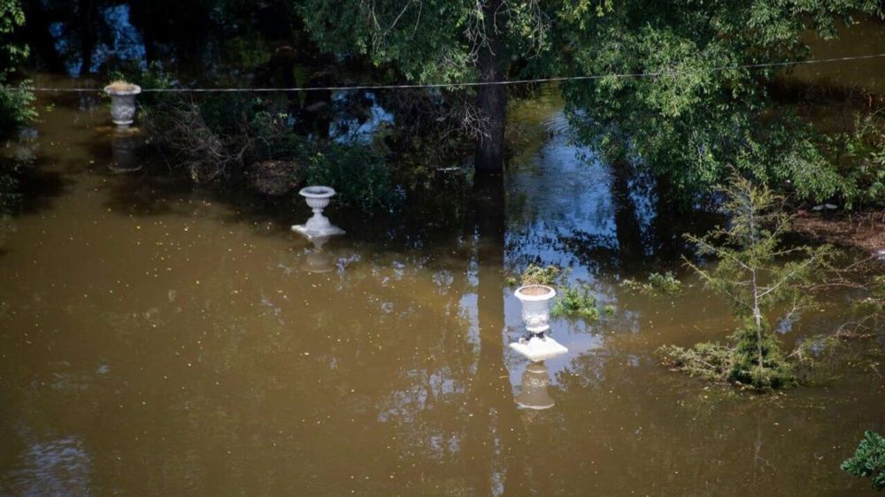 ��������: ������������ ���������� ������� ������ �������� ������