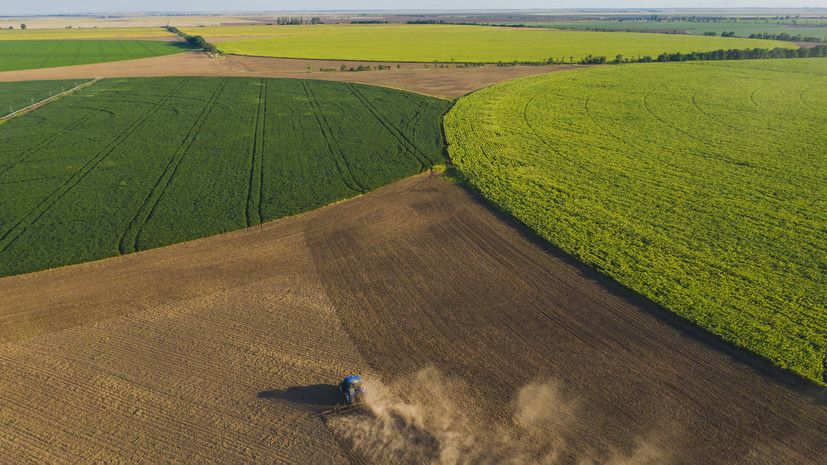 ����������� �������: ���� �� ��� ����������� � ������� ��-�� �� �� ��������� ���