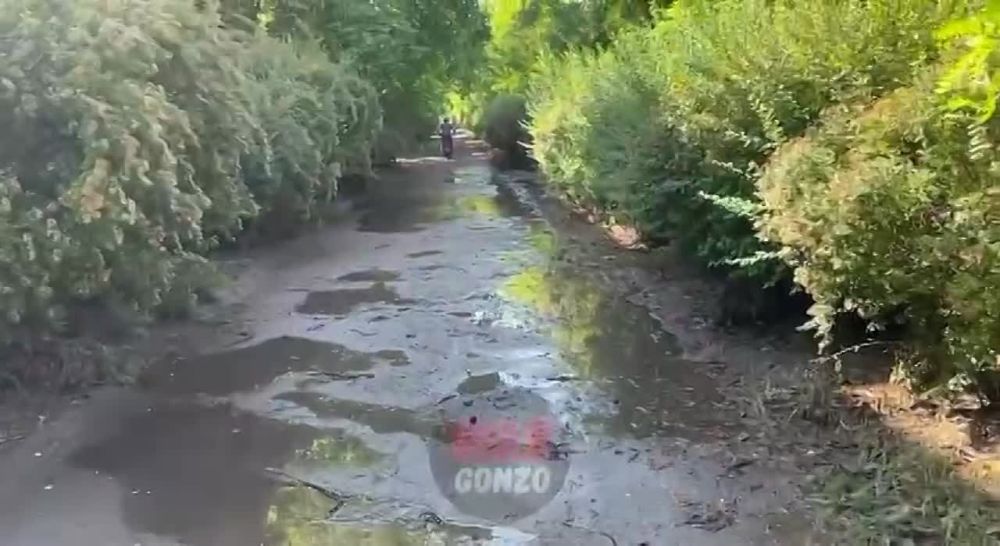 WarGonzo: ������������ ���� ���� �� 6-7�