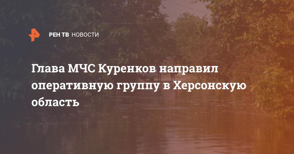 Глава МЧС Куренков направил оперативную группу в Херсонскую область