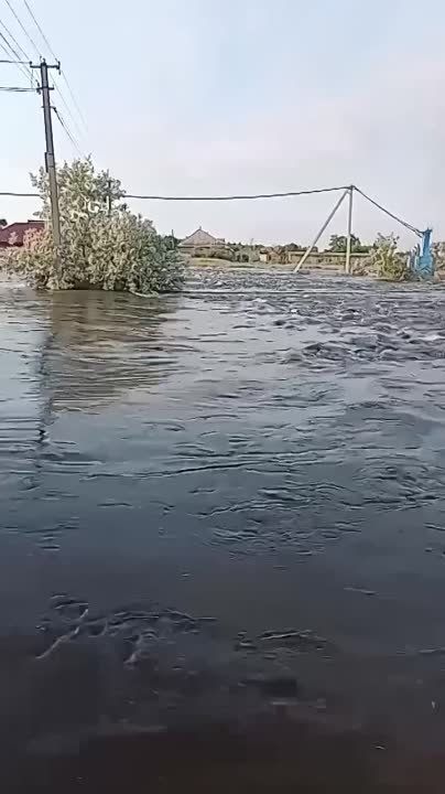 ������ �������. ����������