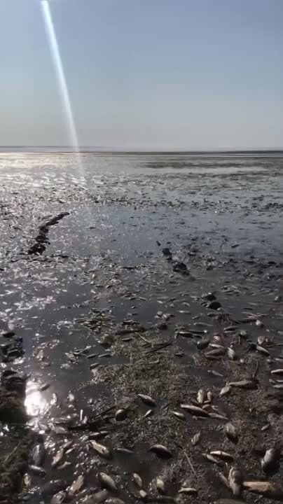 ���������������� �������, ������ ����������, ������������ �������� ��� ���� ��-�� ������� ��������� � �������� ��� ������� ��������� ���