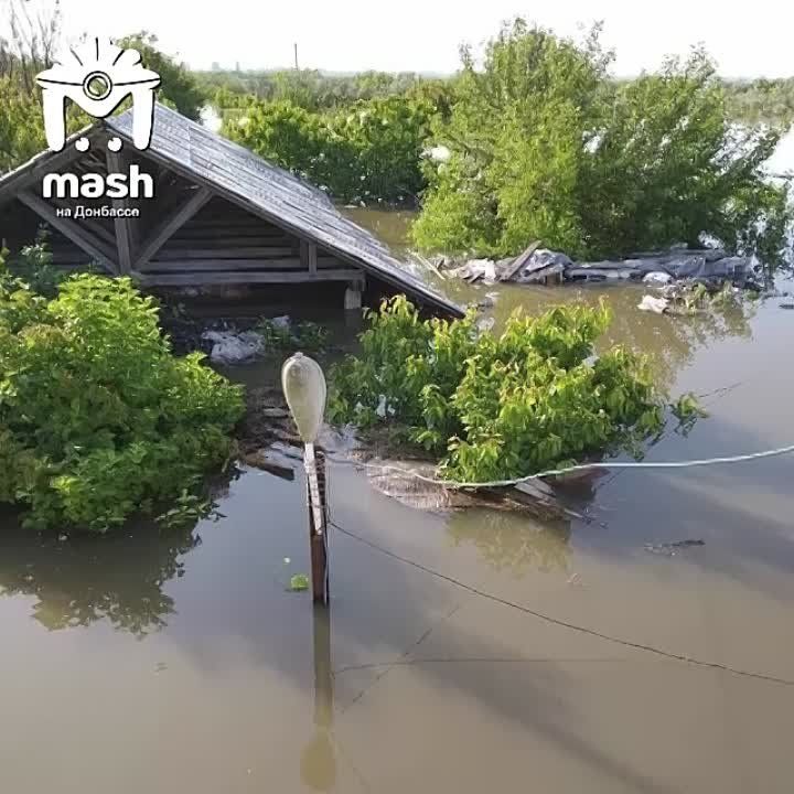 ��� ������ �������� ��������