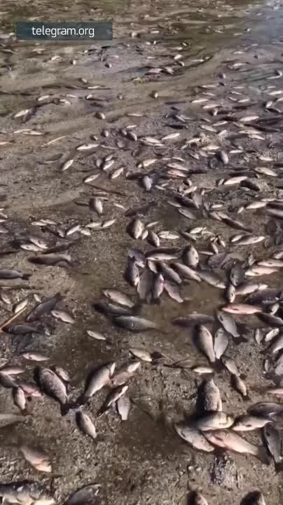 � ���� ���������� ����� �������� ������ ���, ��� ������������, � ���������������� ������� � ���������� ��������� ���� ��-�� ������� ��������� ���