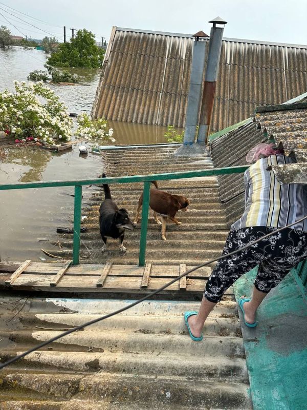 ����� ��������� ����� ��������