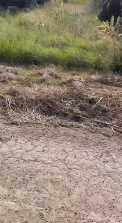 ���������� ������� �� ���������� ����