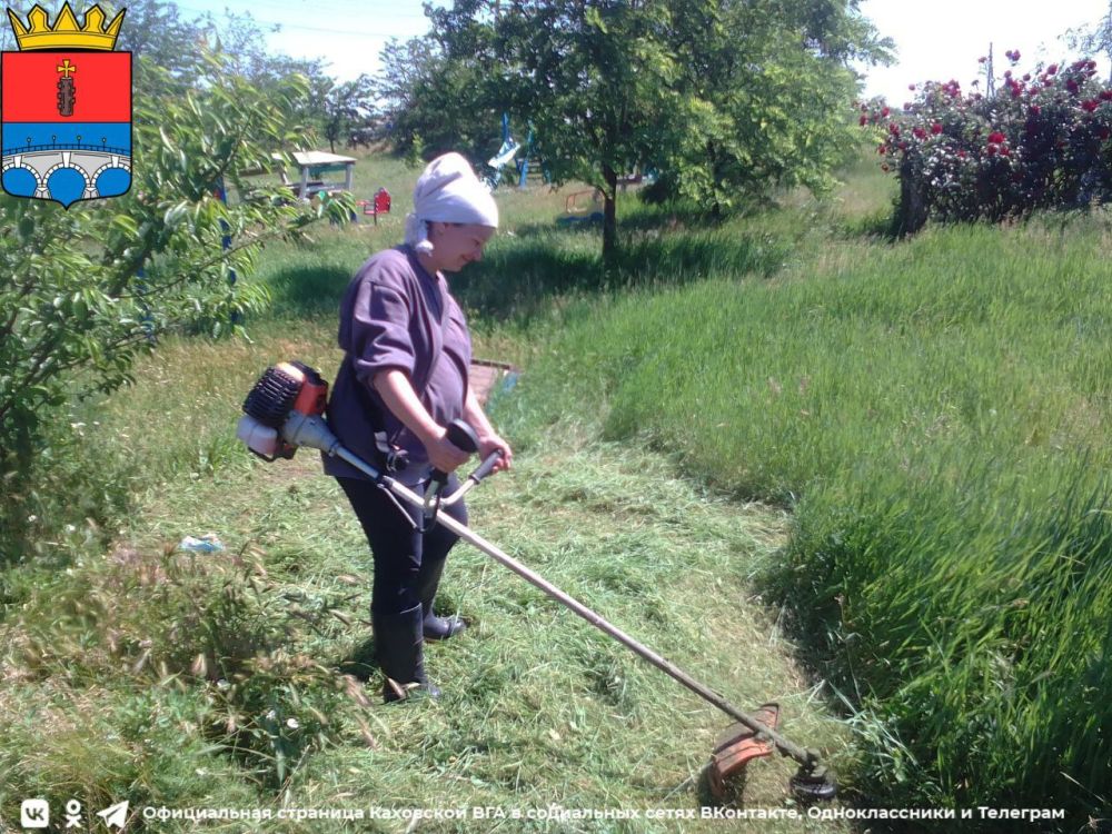 ����������������� ������������ ����������� �����������