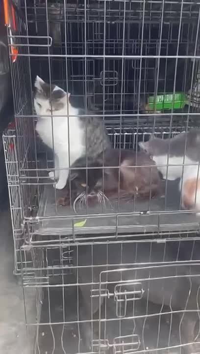 � �� ��� ������.... ������ ������������ �����������, � ����� �������������� ��������������, �������� ����� 400 �������� ��������. �� ���� ������ ����� ���� �. ��������