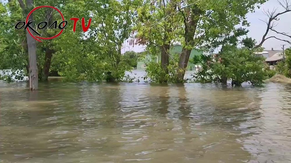 � �� ��� ������.... ���������: ���� � ��������� ������ �� ����� �����