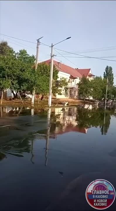 ����� ������� ������ � ���� ��������� �������� �������