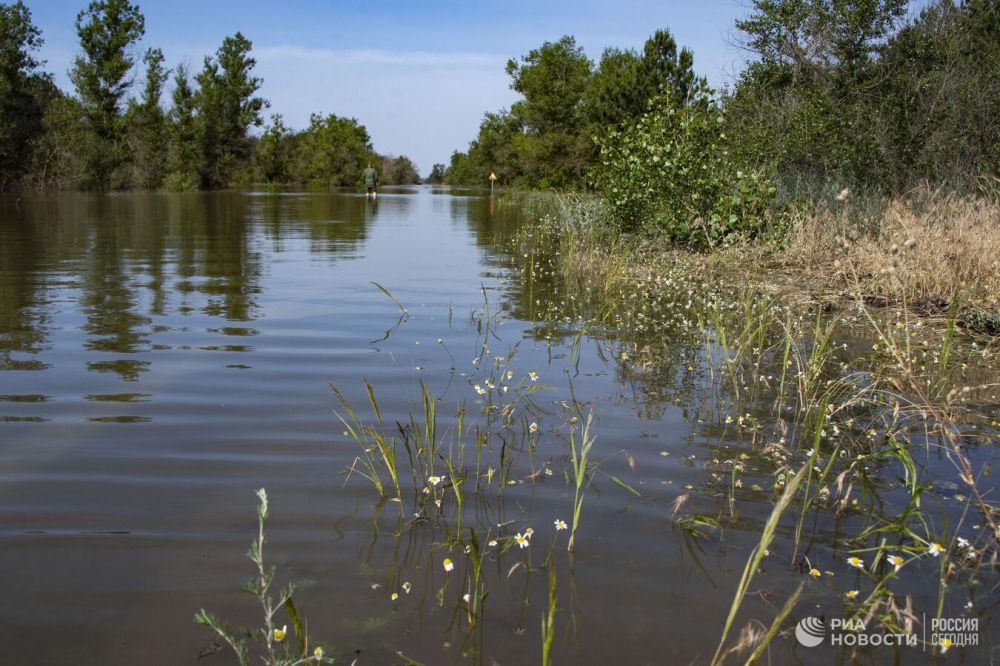 ������ ���������� � �������� � ����������� ����� ���������� ��� �������