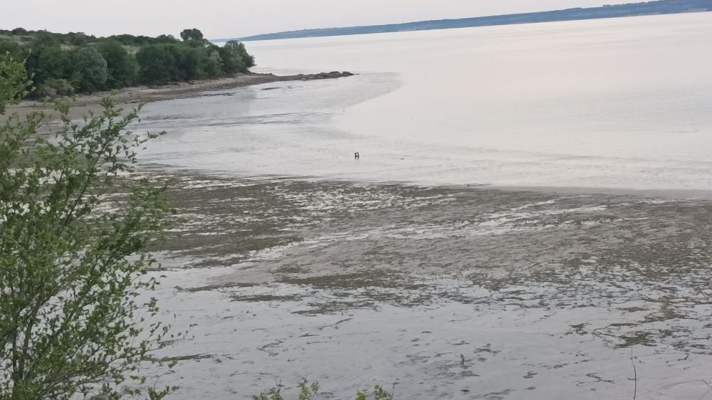 ��� �����:. ���������� �������, ������� �����