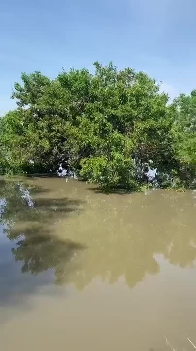 ��������� ���� � ������� ���� ��� ����