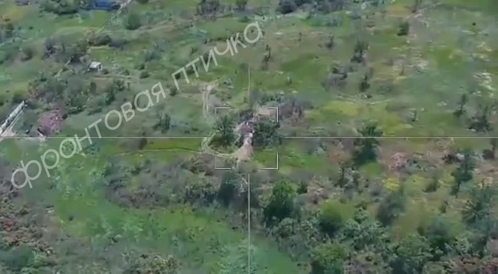 ������������� ��������� "������" �������� ���������� ��� "��������" �� ���������� �����������