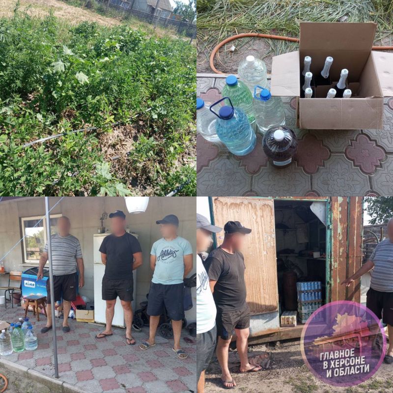 � ���������� ������� ���������� ������� ������ � �������� ���� 187 ������ ������� � 145 ������ ��������