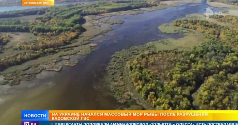 ������ �������� ������� � ����������� �������� ��-�� ������� ��������� ���