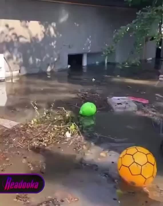 ������� ���������� ������� ������� ������������ ��-��� ���� ����� ���������� ��������� ���