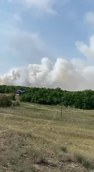 ��������� ���: ������� ���������� ������� ���������� �� ���� ������� �� ����� ������ ������