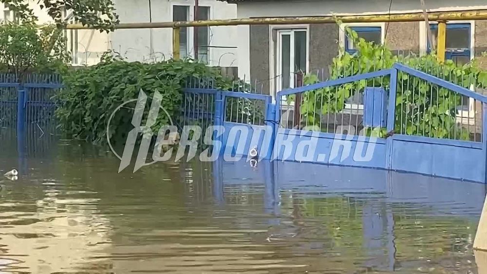 � ����� �������� ������������� ���������.�� ������ ������, ������� �� ����� ���������