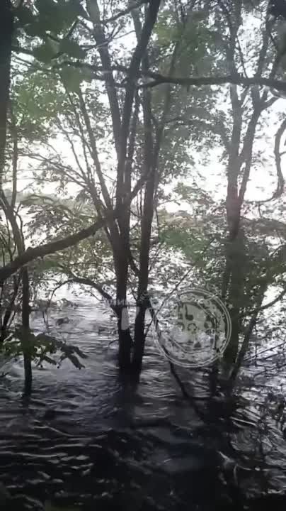 ���������� �������, ��� ����� ������