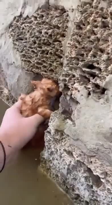 ����� ������� �� ����� ����� ���� �� ��� ������� ������