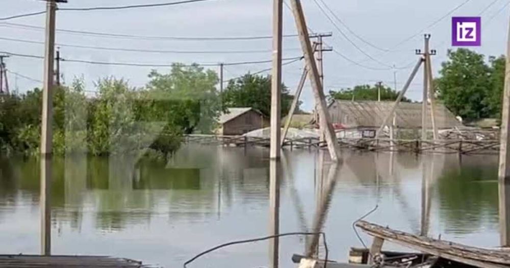 ������ �������� ���������, ��� ����� ����� �� ����������� �����