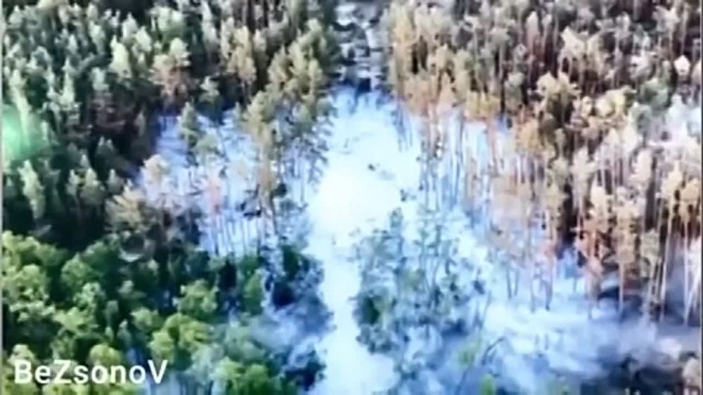 �������� �����: ����� �� ������� (07.06.23-����): �������, ������� - ����������� ����������� ���������, ������� � �������