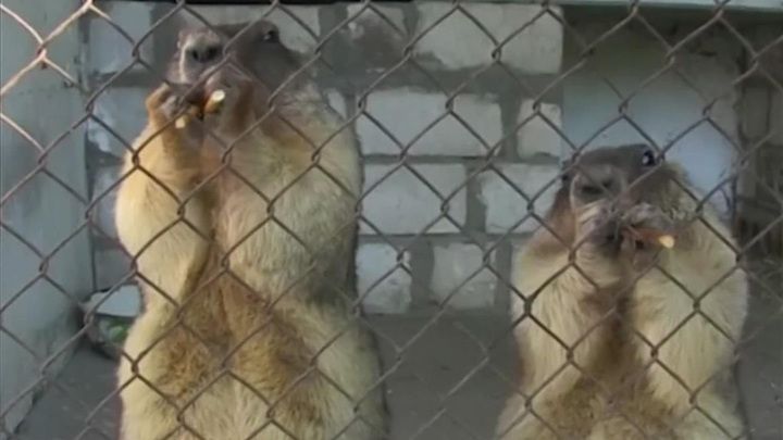 ������ � "��������� �������" ���� ������ ������