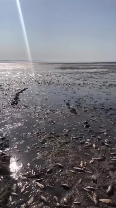 ���������������� �������, ��������� ������ ������� ��-�� ����������� ��������� ��� ������������