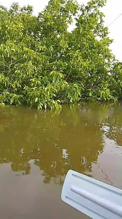 ��� �������� ������ ���� �������� �������������� ���������� ������ ����� �������������� ����������������� ���� ��������� ������ �� ����������� ��������� ���. ����� ����� �������� ��� ����� ����� � ���������