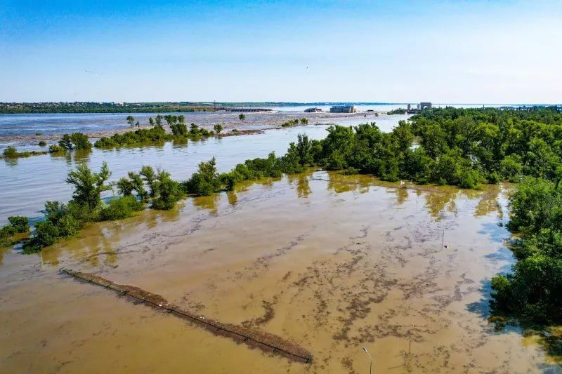 ���� �������� ��� �����, � �������� ������ ���������� ����� ������� ����