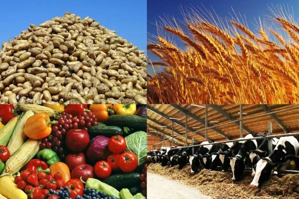 ����� ������� ��. ��������� �� �������� ����� ������� ������������� ���������� �������� ����� ��������