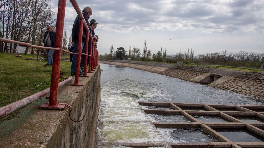 ������� ������� �����: 7 ����