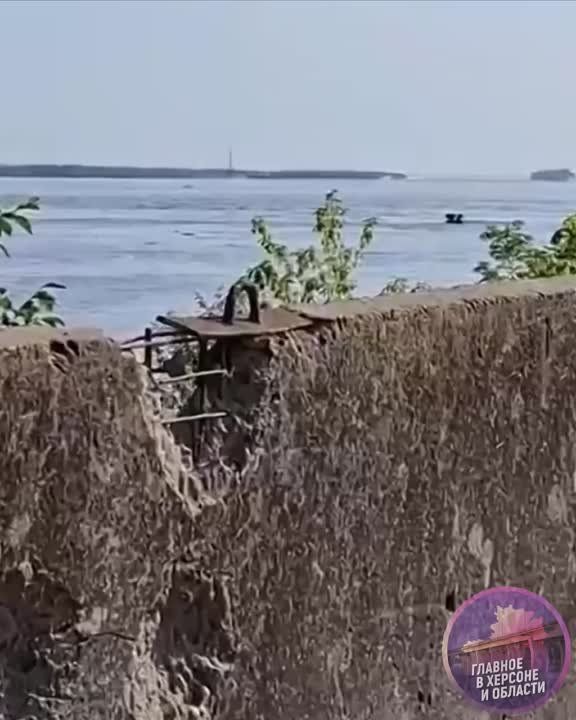 ������ � ������� ����� ������������ ���������, ������������� �� �����������, �� ���� ��� �� ��������� � �������� ������