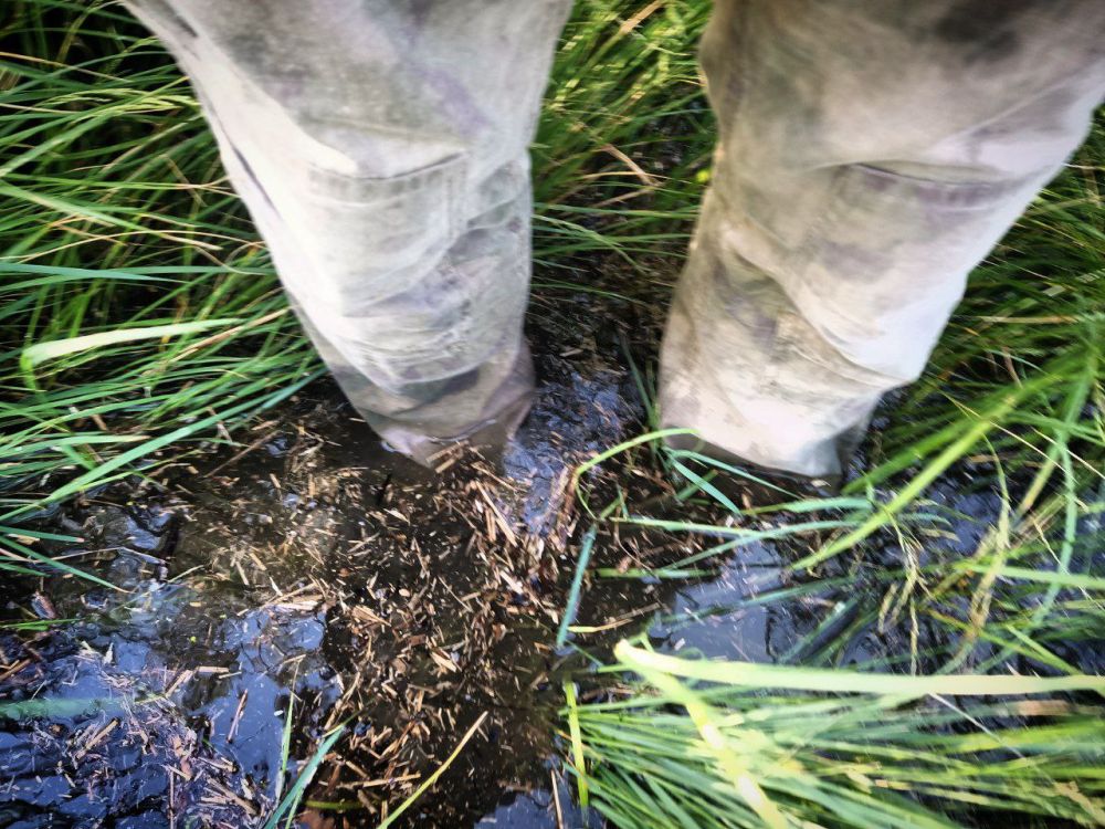 ������������ ������ @Mig41 �� ������������ ���������� � � ������ ���������������� ������ ���� ��������� � ������������...