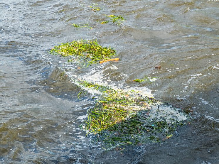 ������ ��������, ��� � ����� �������� ���������� �������� � �����������